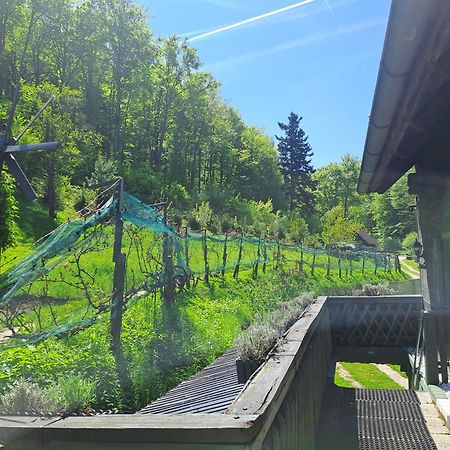 Das Altsteirische Landhaus - La Maison De Pronegg - Feriendomizil Im Biosphaerenpark Wienerwald Pressbaum Εξωτερικό φωτογραφία