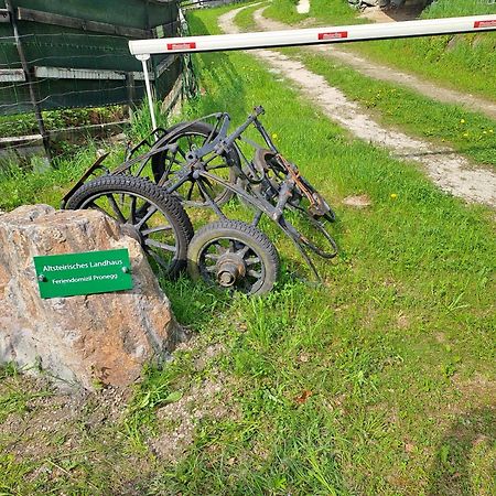 Das Altsteirische Landhaus - La Maison De Pronegg - Feriendomizil Im Biosphaerenpark Wienerwald Pressbaum Εξωτερικό φωτογραφία