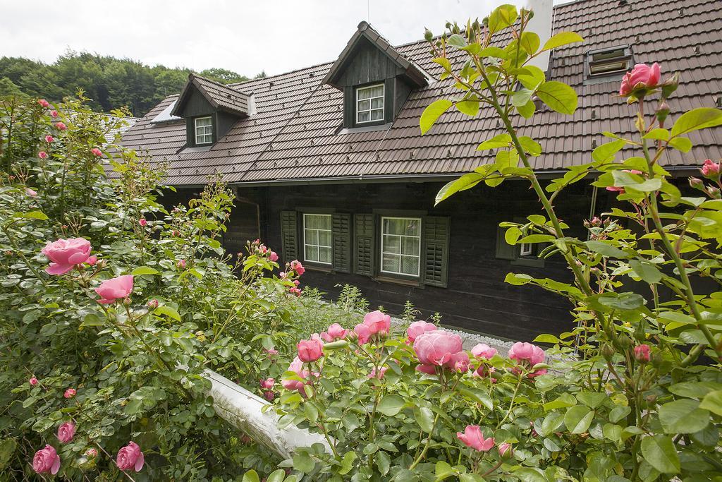 Das Altsteirische Landhaus - La Maison De Pronegg - Feriendomizil Im Biosphaerenpark Wienerwald Pressbaum Δωμάτιο φωτογραφία